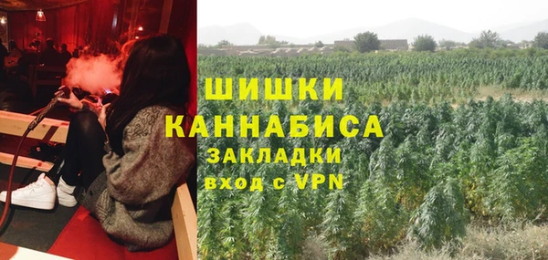 спиды Арсеньев