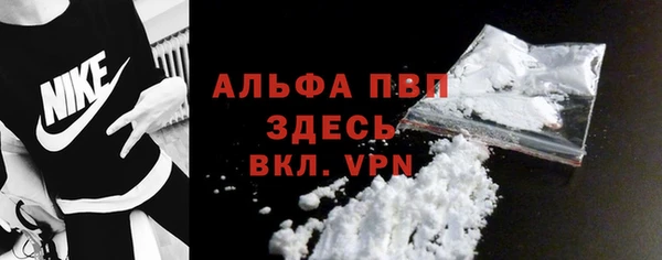 стаф Ростов