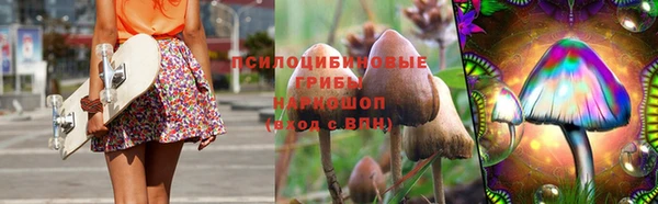 спиды Арсеньев